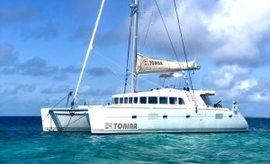 exterior, Lagoon 500, catamaran for sale