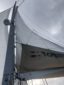 underway, Lagoon 500, catamaran for sale