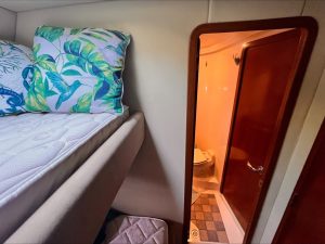 Sea Ray, trawler for sale