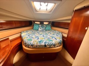 Sea Ray, trawler for sale