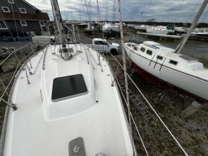 deck, Sabre 34, sailboat for sale