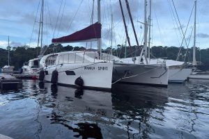 exterior, Dean 500, catamaran for sale