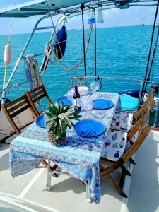 cockpit, Island Packet 485, sailboat for sale