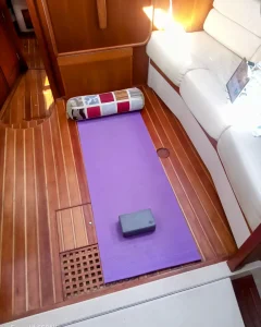 salon, Island Packet 485, sailboat for sale