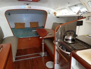 Custom, catamaran for sale