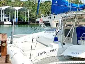 Custom, catamaran for sale