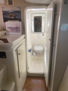 bath, Voyage 47 Mayotte, catamaran for sale
