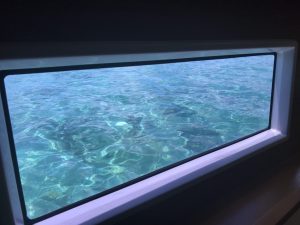 interior, Lagoon 52F, catamaran for sale