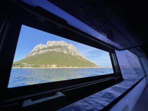 interior, Lagoon 52F, catamaran for sale