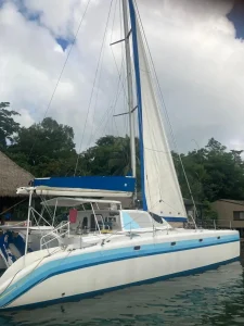 exterior, Custom, catamaran for sale