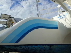 exterior, Custom, catamaran for sale