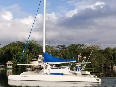 Custom Roake 50, catamaran for sale