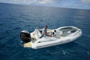 underway, Sunreef 60, catamaran for sale