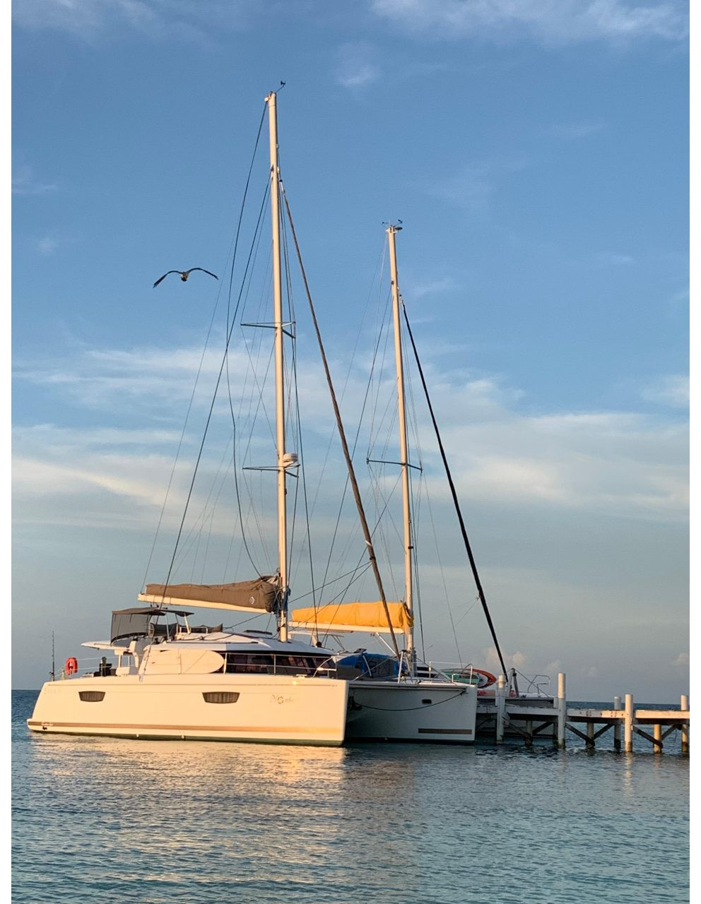 exterior, FP 50 Saba, catamaran for sale