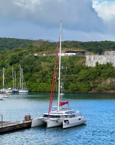 exterior, Neel 51, catamaran for sale