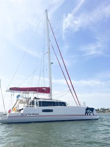 exterior, Neel 51, catamaran for sale