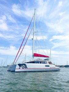 exterior, Neel 51, catamaran for sale