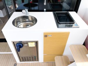 interior, Neel 51, catamaran for sale