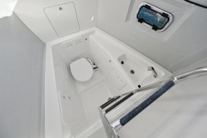 bath, Lagoon 46, catamaran for sale