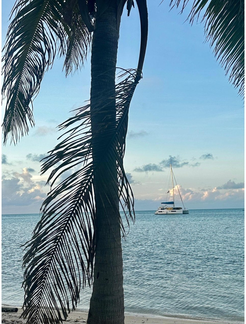 Leopard 45, catamaran for sale