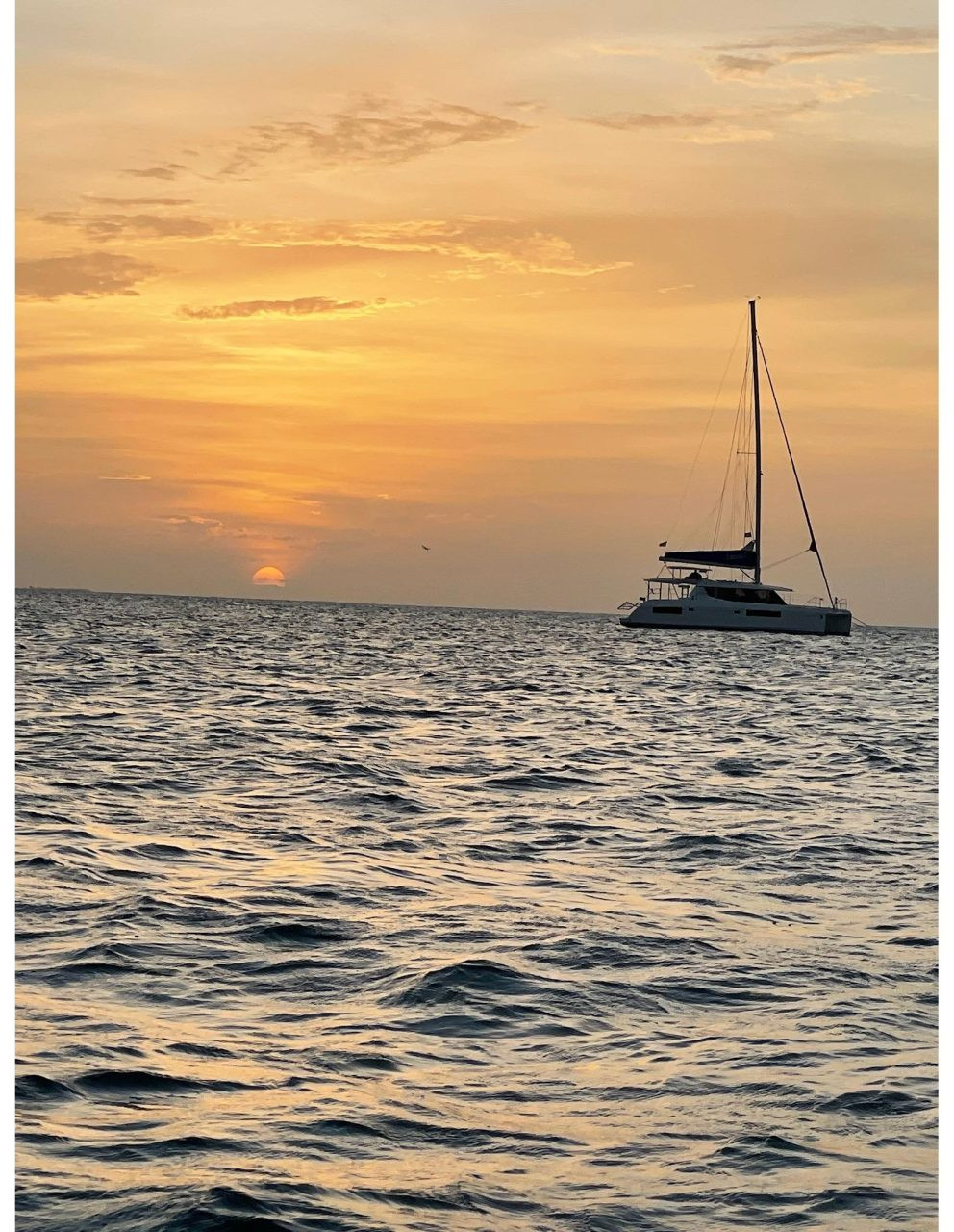 Leopard 45, catamaran for sale