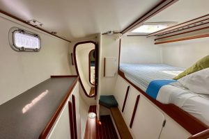 interior, Chris White, catamaran for sale
