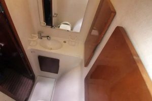 bath, Privilege 482, catamaran for sale
