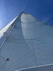 deck, TRT 1200, catamaran for sale