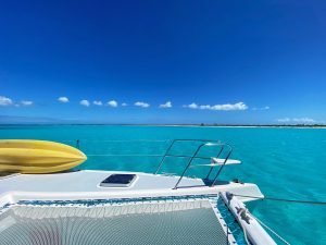 deck, St Francis 44, catamaran for sale