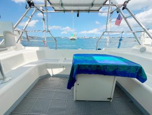 cockpit, St Francis 44, catamaran for sale