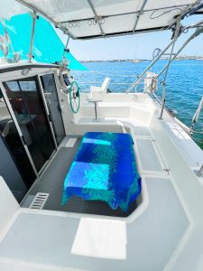 cockpit, St Francis 44, catamaran for sale