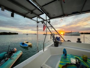 cockpit, St Francis 44, catamaran for sale