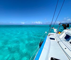 deck, St Francis 44, catamaran for sale