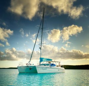 exterior, St Francis 44, catamaran for sale
