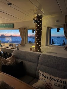 salon, Lagoon 420, catamaran for sale