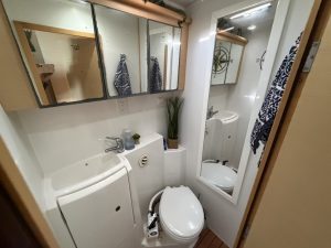 bath, Lagoon 420, catamaran for sale