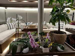salon, Lagoon 50, catamaran for sale
