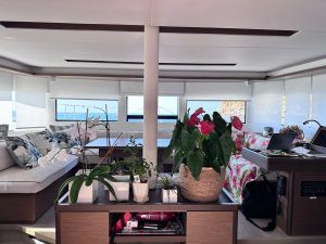 salon, Lagoon 50, catamaran for sale