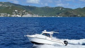 exterior, Boston Whaler, trawler for sale
