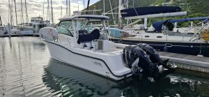 cockpit, Boston Whaler, trawler for sale