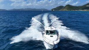 exterior, Boston Whaler, trawler for sale