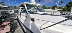 deck, Boston Whaler, trawler for sale