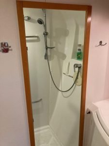 bath, Lagoon 420, catamaran for sale
