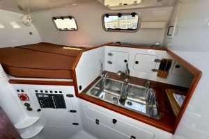 interior, Hughes 40, catamaran for sale