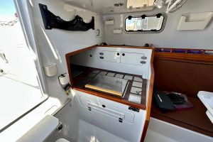 interior, Hughes 40, catamaran for sale