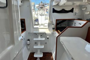 interior, Hughes 40, catamaran for sale