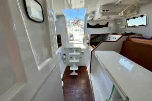interior, Hughes 40, catamaran for sale
