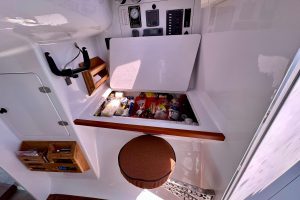 interior, Hughes 40, catamaran for sale