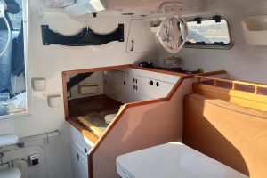interior, Hughes 40, catamaran for sale