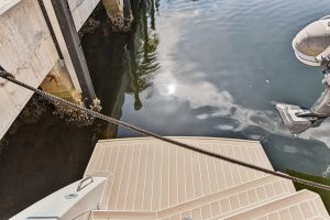 deck, Leopard 50, catamaran for sale
